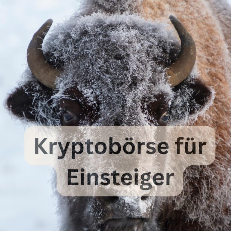 BISON: Sicher Bitcoin kaufen in Deutschland – die perfekte App für Einsteiger