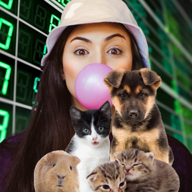 Der kometenhafte Aufstieg und der vernichtende Absturz von Pets.com: Ein Drama der Dotcom-Ära